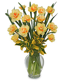 Spring Daffodils Flower Arrangement