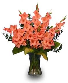 Glorious Gladiolus