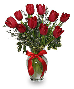 Romantic Red Tulips